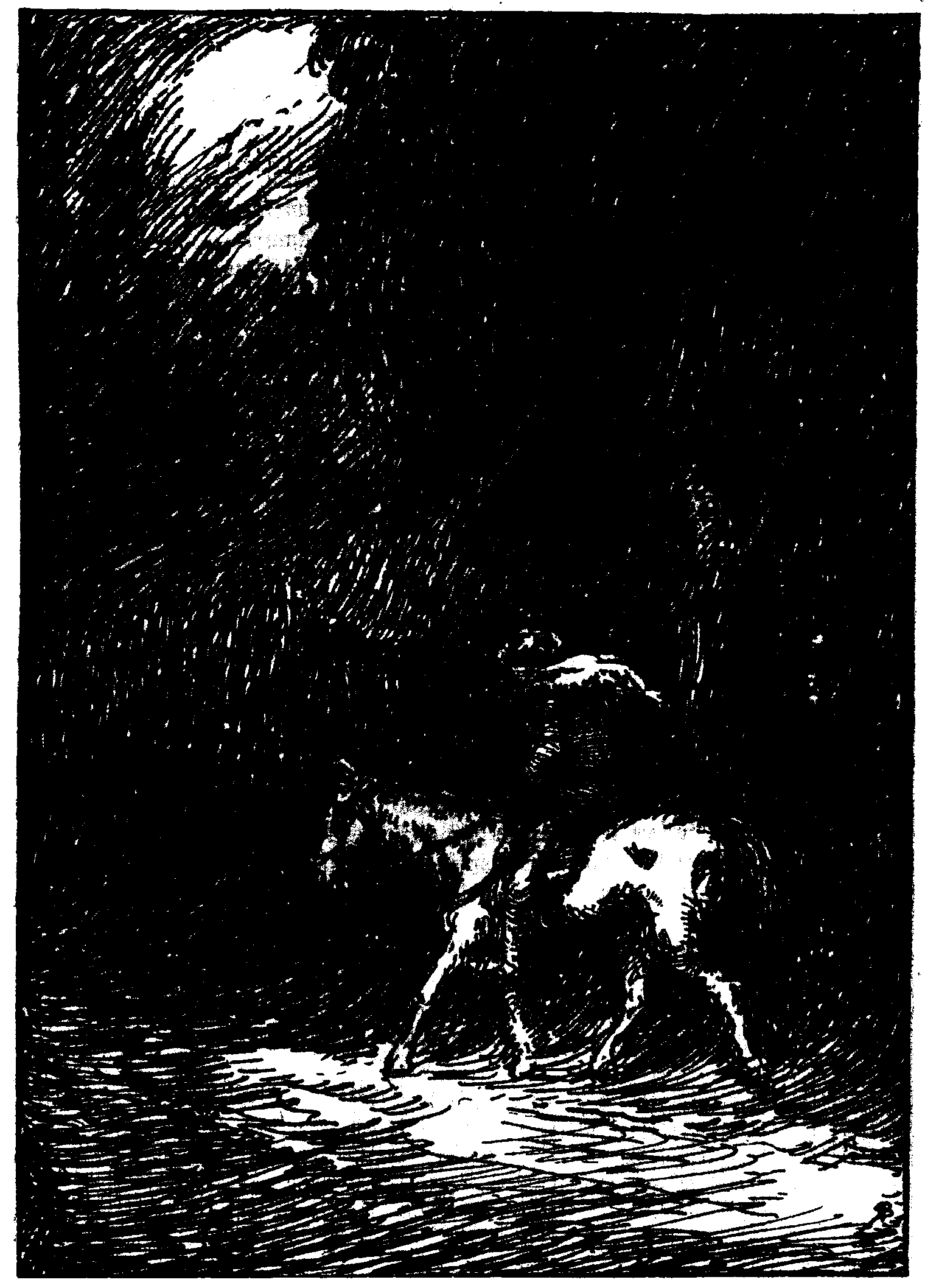 Las Inquietudes de Shanti And�a