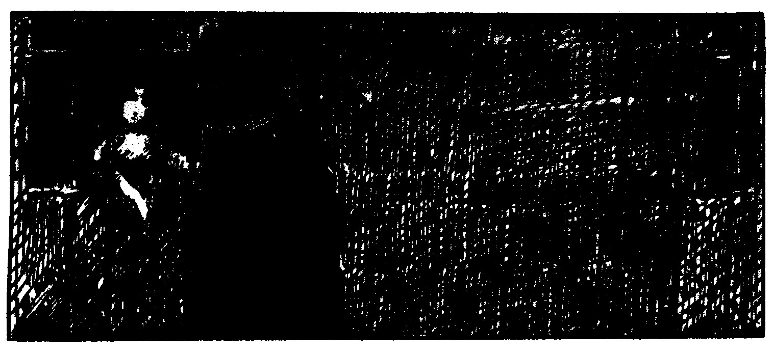 Las Inquietudes de Shanti And�a