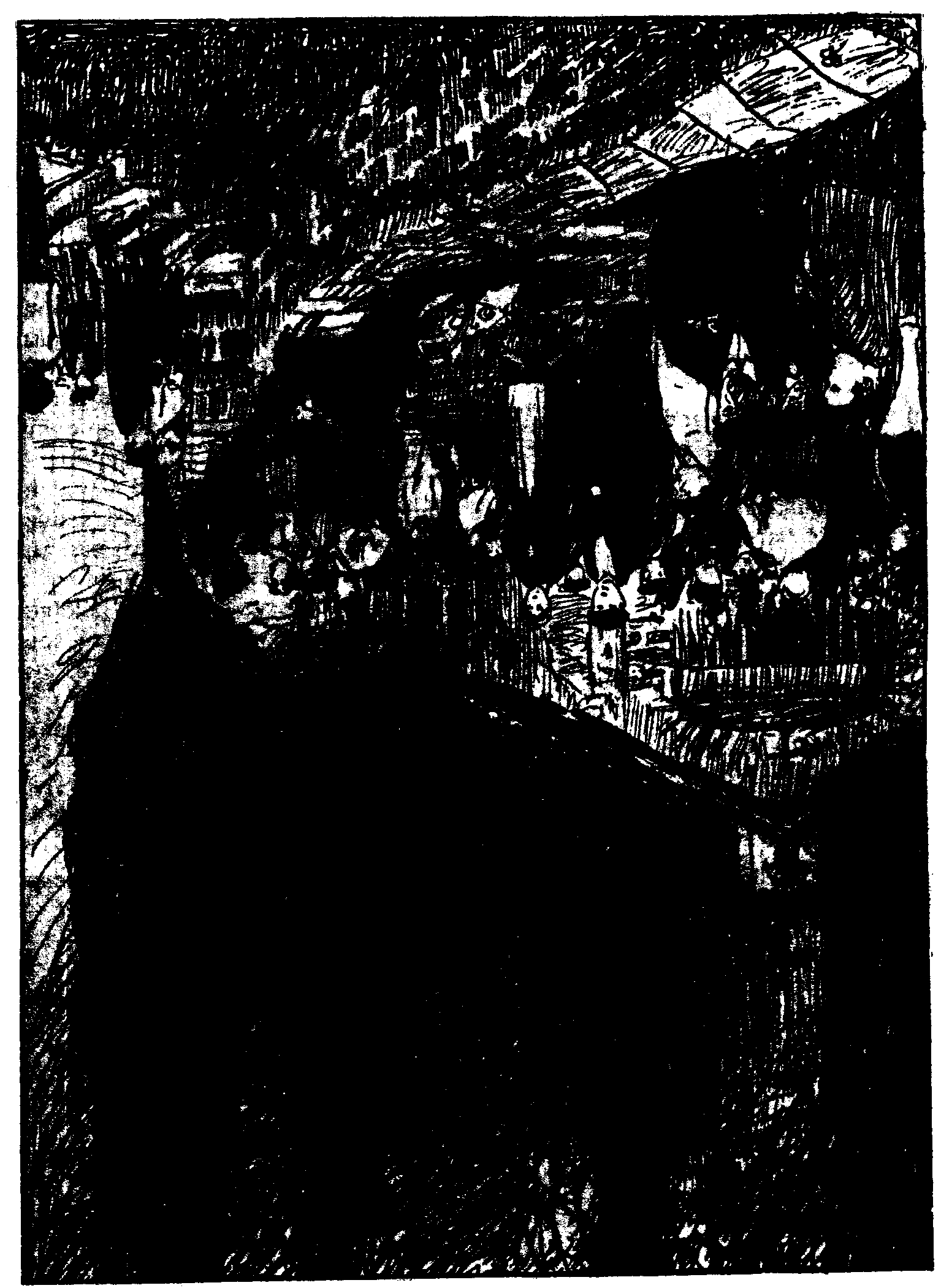 Las Inquietudes de Shanti And�a