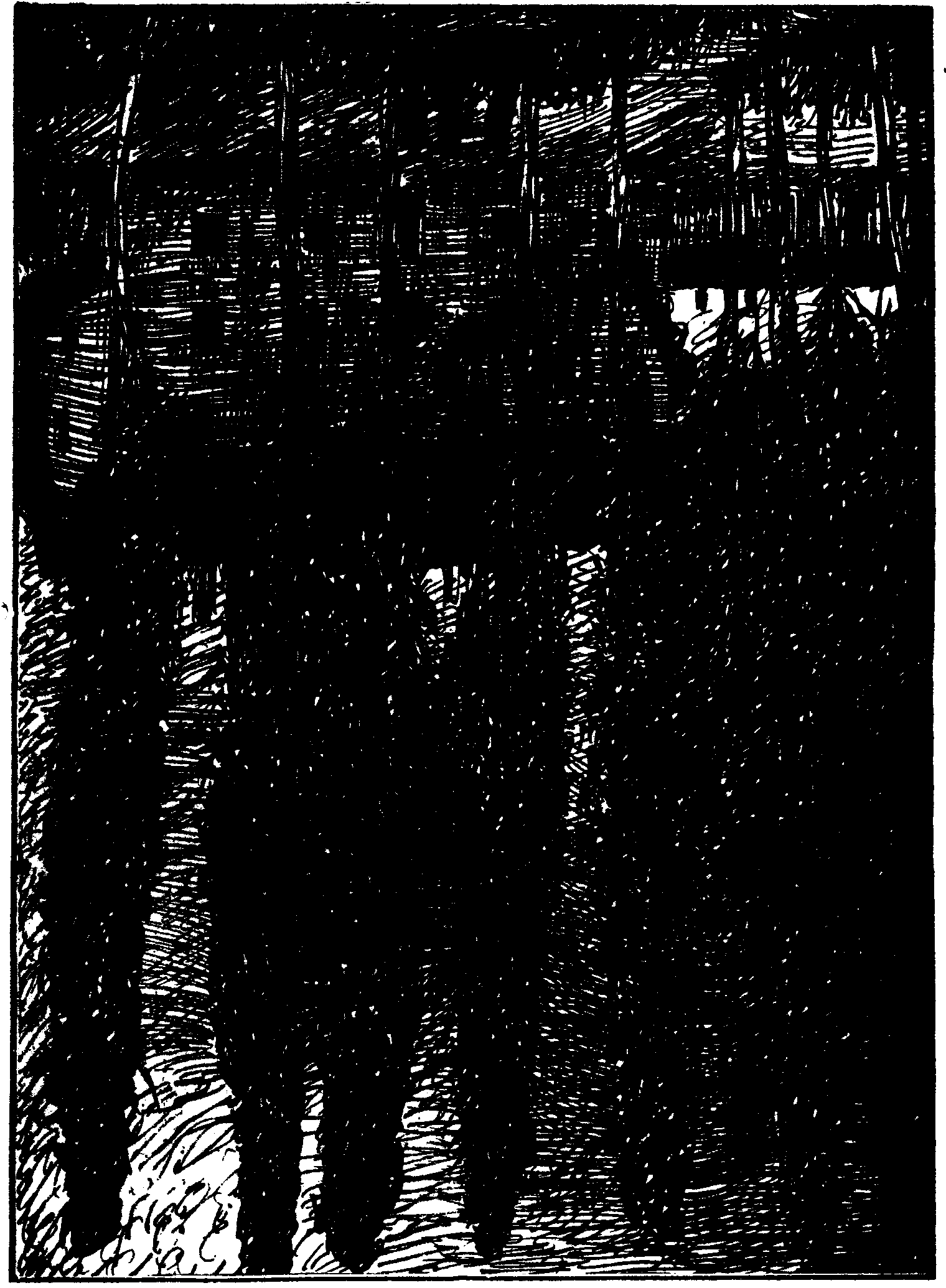 Las Inquietudes de Shanti And�a