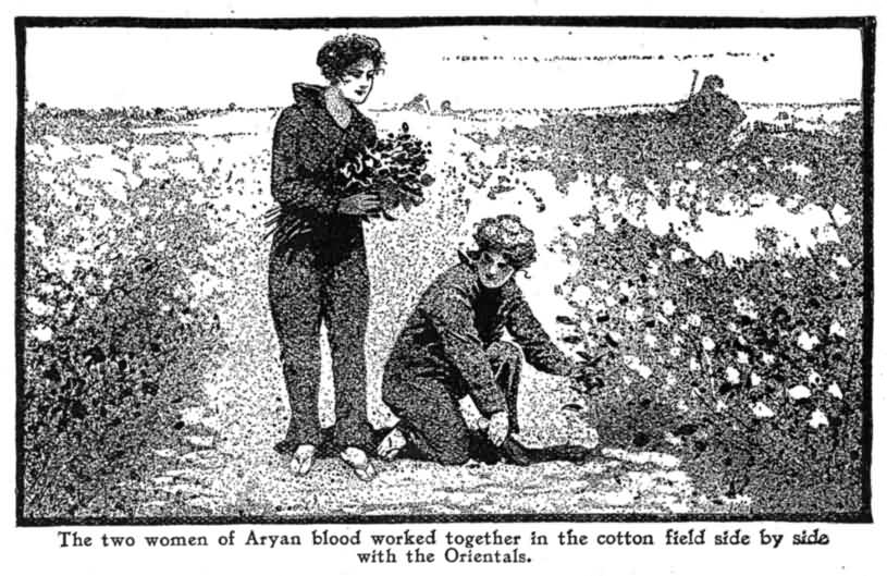 The Two Women of Aryan Blood Worked Together in The
Cotton Field Side by Side With the Orientals.
