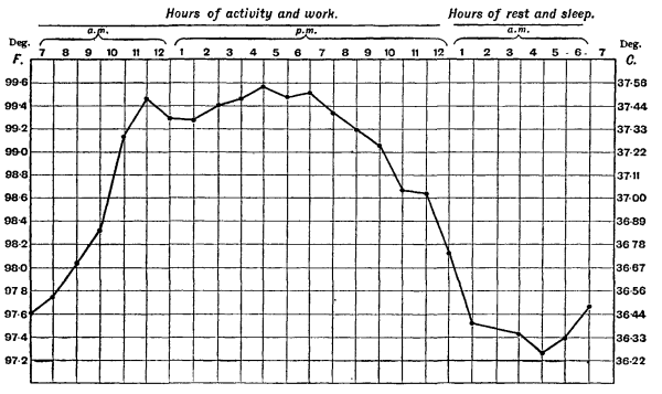 Chart showing diurnal variation in body temperature,
ranging from about 37.5&deg; C. from 10 A.M. to 6 P.M., and falling to
about 36.3&deg; C. from 2 A.M to 6 A.M.