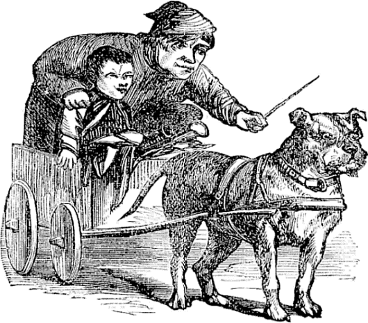 TAIL PIECE&mdash;A TURN OUT