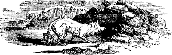 TAIL PIECE&mdash;GAME