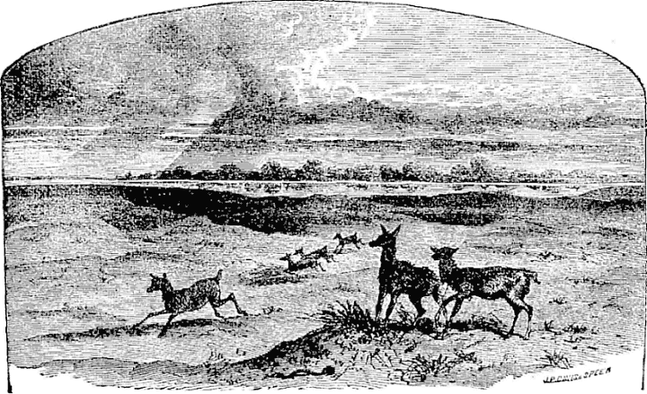 TAIL PIECE&mdash;SCENE ON THE RIVER