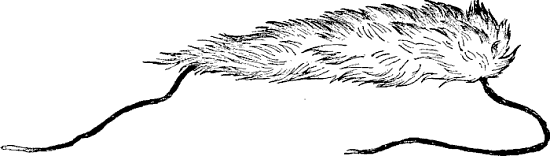 TAIL PIECE&mdash;FLASK