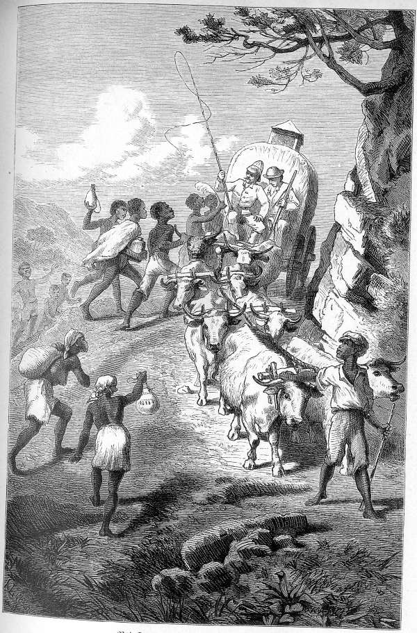 Bei Taung um Branntwein best&uuml;rmt.