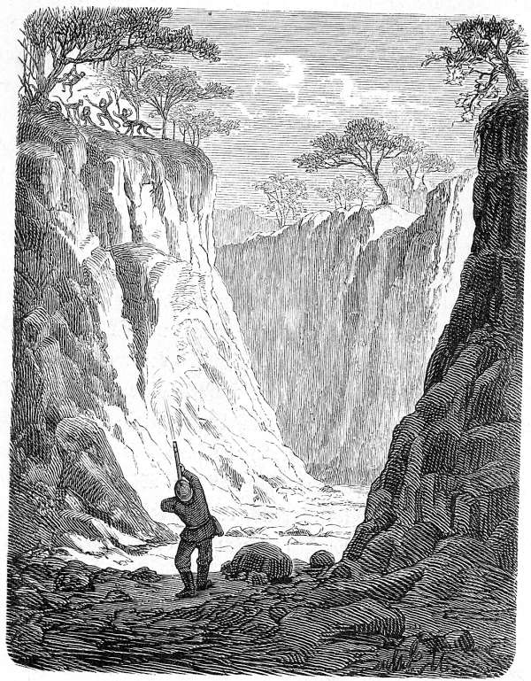 Von Pavianen &uuml;berrascht.