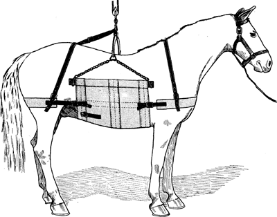 Fig. 5&mdash;Ordinary type of heavy sling.