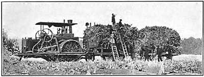 FIG. 137.&mdash;Agriculture made possible by irrigation.