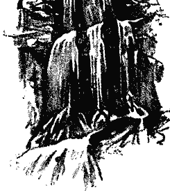 "And in Each Ca&ntilde;on was a Waterfall."