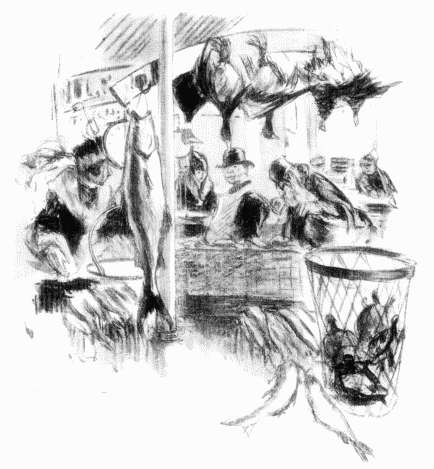 If she is shopping for a dinner party, she may order the costly and aristocratic
diamond-back terrapin, sacred in Baltimore as is the Sacred Cod in Boston