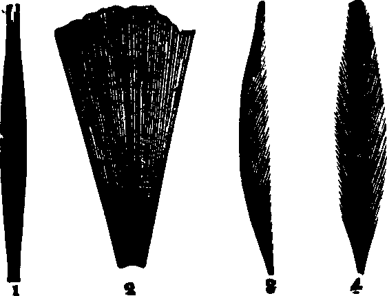 Illustration:
Fig. 20.