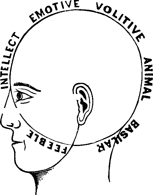 Illustration:
Fig. 70.