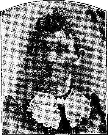 Illustration:
Aurelia Vanzile. 