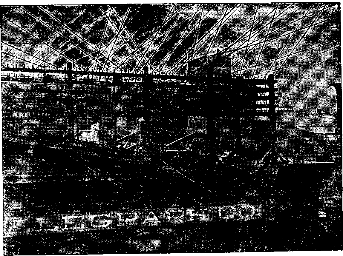 Illustration:
View on roof of Western Union Telegraph Company's Central Station, Buffalo,
N.Y., showing net-work of wires leading to all parts of the country.