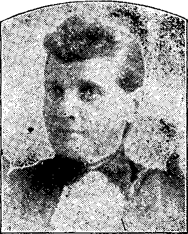 Illustration:
Mrs. Nicholson.