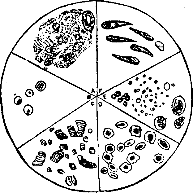 Illustration:
Fig. 3.