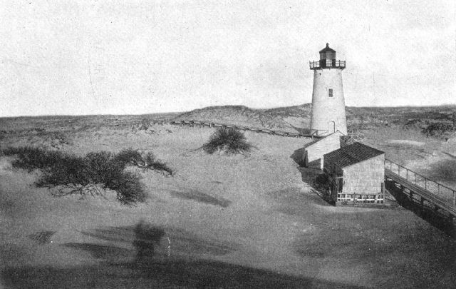 Dunes at Ipswich Light, Massachusetts. Note the
effect of bushes in arresting the movement of the wind-blown sand.
