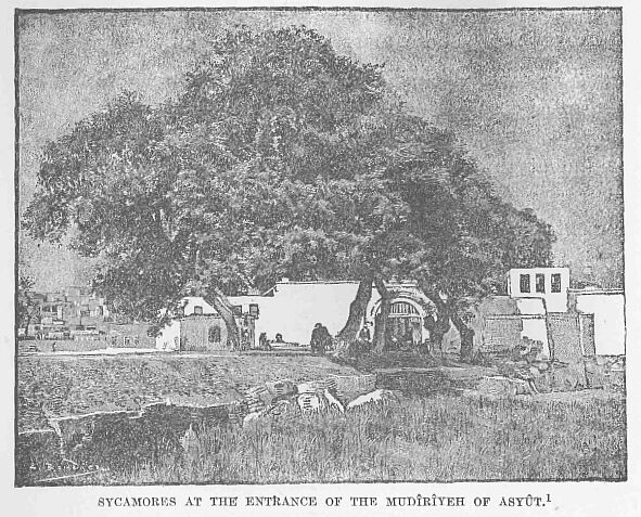 036.jpg Entrance of the Mud�riyeh Of Asy�t. 