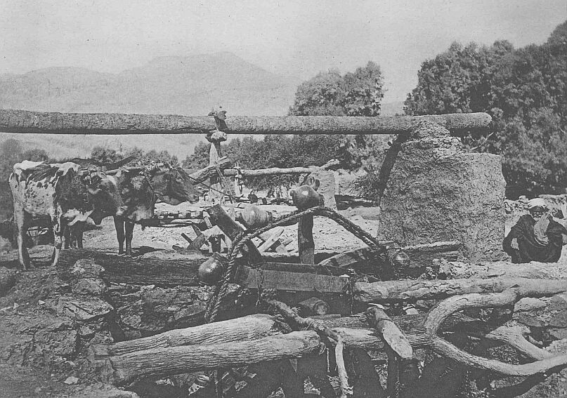 089.jpg an Egyptian Saki� (well) Showing Method Of Procuring Water for Irrigation. 