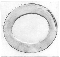 SHOWING UNDER FACING OF BRIM PINNED OVER WIRE READY TO
SEW IN PLACE