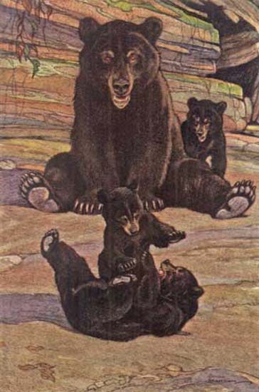 RECREATION IS AS COMMON AMONG ANIMALS AS IT IS AMONG
CHILDREN.