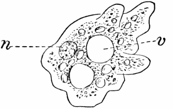 Fig.&nbsp;2.
