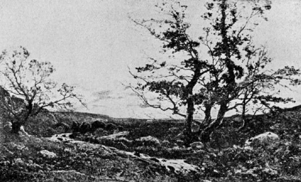 A stream edged with rocks and boulders runs between two trees. The larger,
on the right, has what appears to be the first sign of leaves growing. The
surrounding landscape is mostly flat, a huge expanse of sky overhead has the
slightest hint of cloud in the distance.