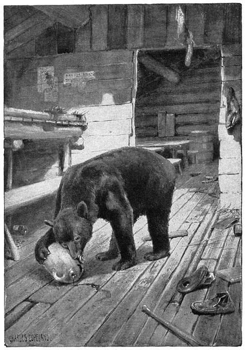 Mooween was hier verscheiden keer v&oacute;&oacute;r mij geweest... bl. 118 VI.