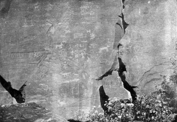 PL. XCVII&mdash;
PICTOGRAPHS NEAR CLIFF RANCH, VERDE VALLEY