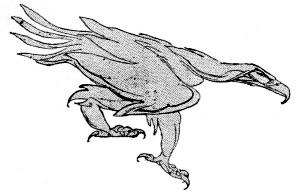 CHILBLAINS, OR&mdash;