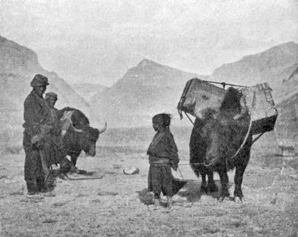 Fig. 25. Y&aacute;ks.