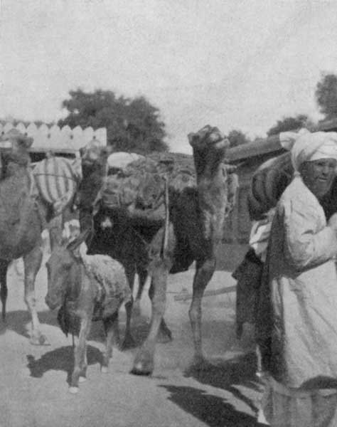 Fig. 149. Trans-border traders in Pesh&aacute;war.