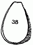 Fig. 38&mdash;The pendant.