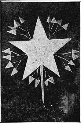 Fig. 184&mdash;The Christmas star.