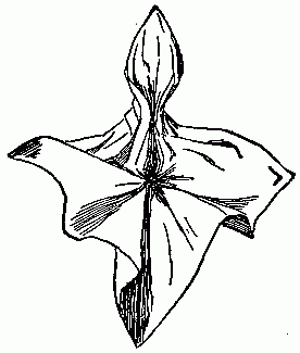 Fig. 248&mdash;Form a leaf-shaped point.