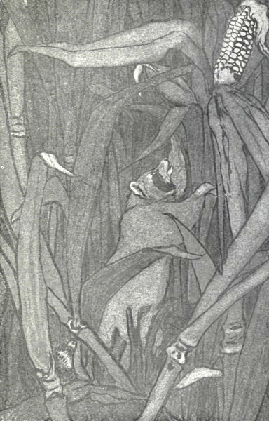 "THEY RAN RIOT ... THROUGH THE TALL, WELL-ORDERED RANKS
OF GREEN."