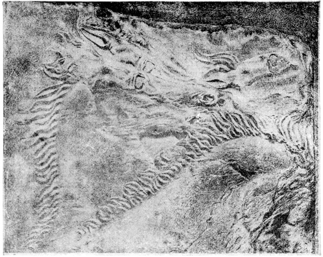 Plate XIII.&mdash;Greek Flat Relief and Sculpture by Edged
Incision.