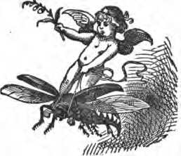 Decora��o da primeira p�gina