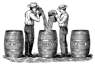 FIG. 42&mdash;PROPER WAY TO MAKE BORDEAUX (From W. G.
Johnson)