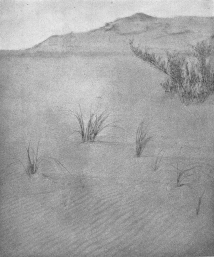 SHIFTING SAND, By Charles Vandervelde, Grand Rapids, Mich.