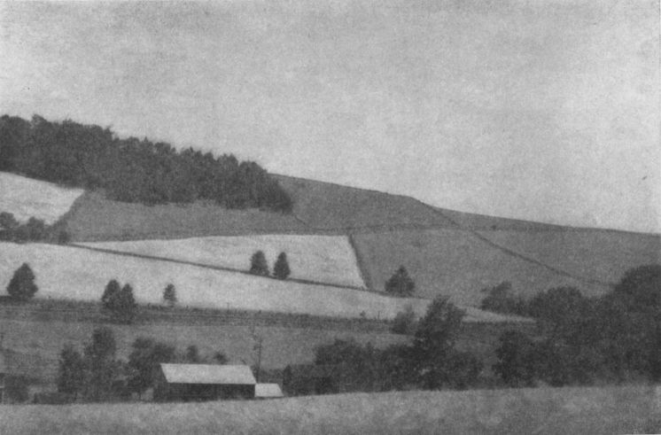 SOLITUDE, By W. R. Latimer, High Bridge, N. J.