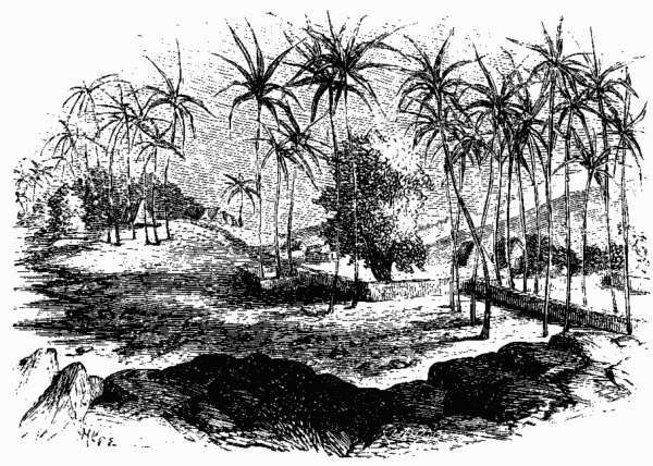 Pahoihoi.&mdash;Page 129.