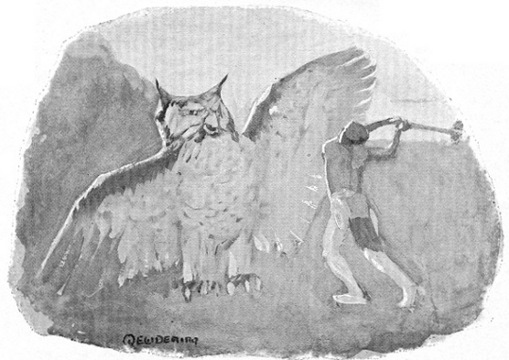 STAR BOY ATTACKED BY HINHAN, THE OWL.

Page 215