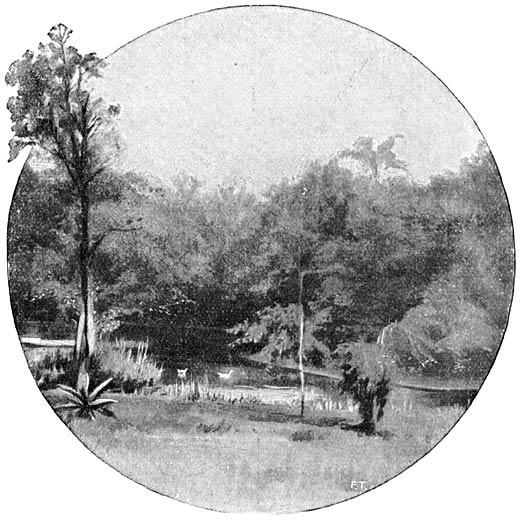 Het volkspark in Malm&ouml;.