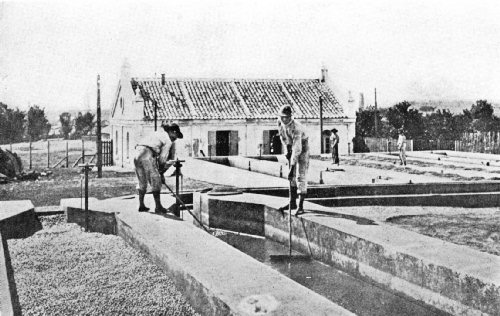 Fermenting and Washing Tanks on a S&atilde;o Paulo Fazenda