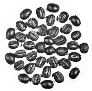 Mexican Beans&mdash;Roasted