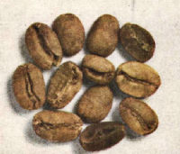 SUMATRA (Mandheling)