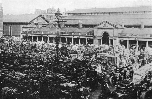 COVENT GARDEN MARKET

The Morning Rush of Farm and Garden Produce for London Consumers.